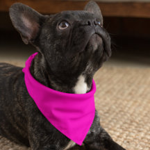 Neon Pink Solid Colour Customise It
