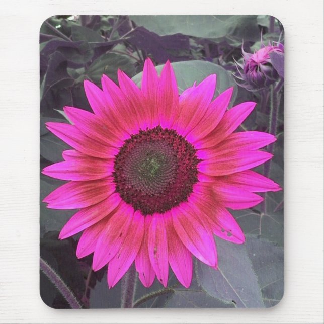 Neon Pink Sunflower Mousepad (Front)
