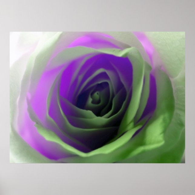 Neon Rose Photograph Poster (Front)