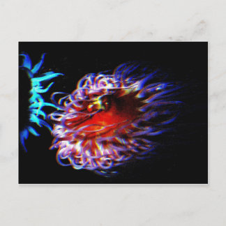 Neon Sea Anemones Postcard