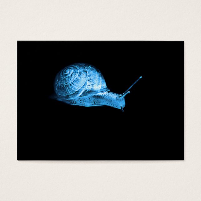 Neon snail (Front)