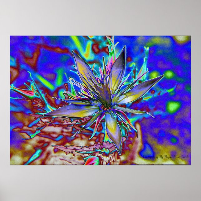 Neon Star Poster (Front)