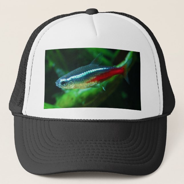 Neon Tetra Fish Paracheirodon Innesi Trucker Hat (Front)