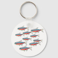 Neon Tetra