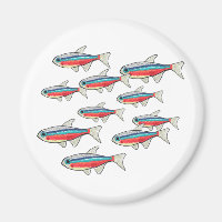 Neon Tetra