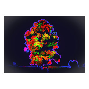 Neon Tree Explosion Photo Print