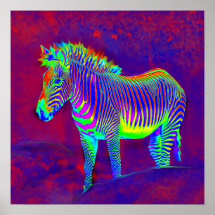 neon zebra poster