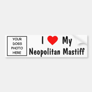 Neopolitan Mastiff Bumper Sticker