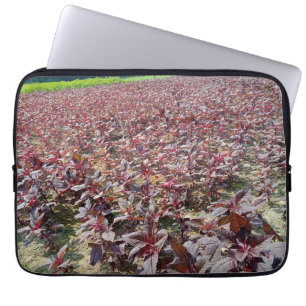 Neoprene Laptop Sleeve 13 inch