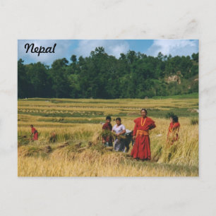 Nepal Family postcard