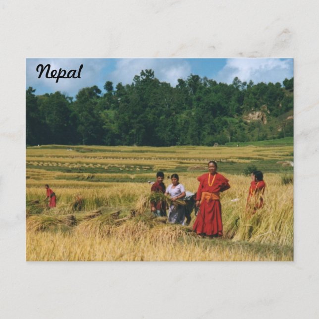 Nepal Family postcard (Front)