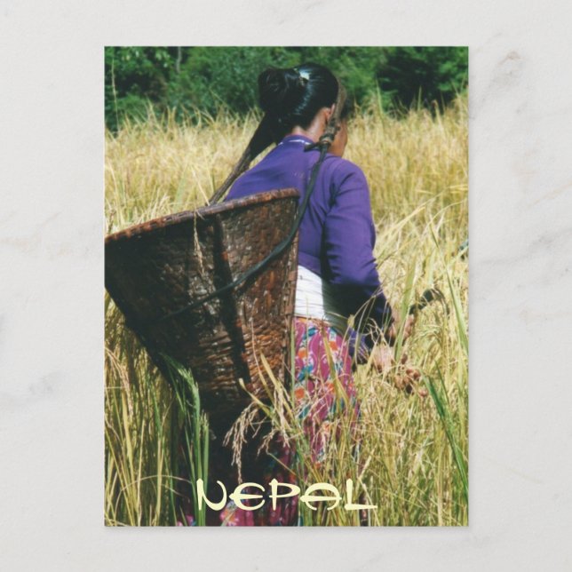 Nepal greetingcard postcard (Front)