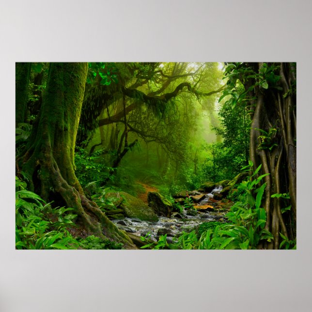 Nepal jungle with riverjungle,forest,ground,river, poster (Front)