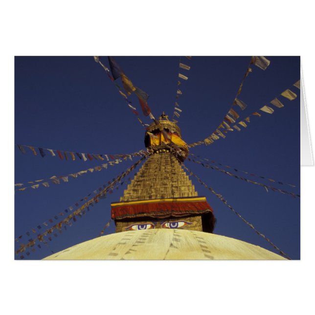 Nepal, Kathmandu. Under prayer flags, watchful (Front Horizontal)