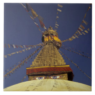 Nepal, Kathmandu. Under prayer flags, watchful Ceramic Tile