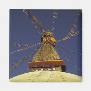 Nepal, Kathmandu. Under prayer flags, watchful Magnet