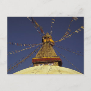 Nepal, Kathmandu. Under prayer flags, watchful Postcard