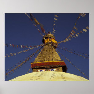 Nepal, Kathmandu. Under prayer flags, watchful Poster