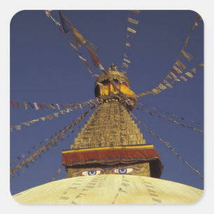 Nepal, Kathmandu. Under prayer flags, watchful Square Sticker