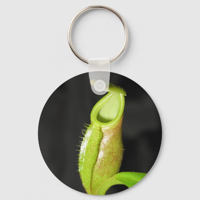 Nepenthes diatas key ring (Front)