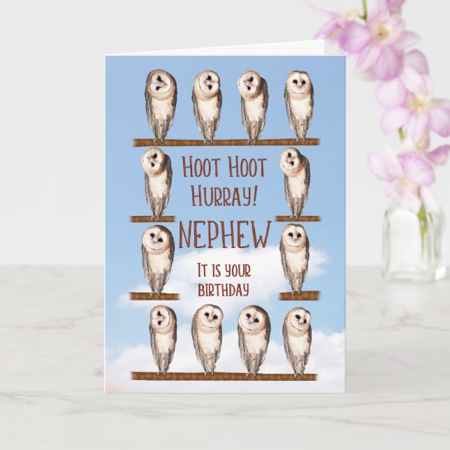 Nephew Birthday, Curious Owls Card (Orchid)