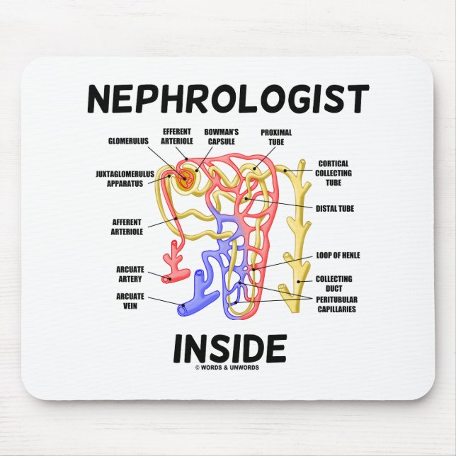 Nephrologist Inside Kidney Nephron Mouse Pad (Front)