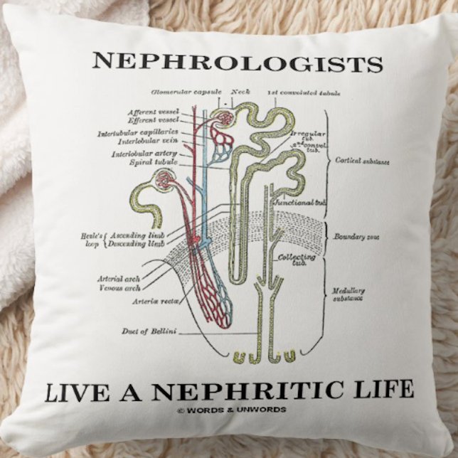 Nephrologists Live A Nephritic Life (Nephron) Cushion (Throw pillow featuring a kidney's nephron and cheeky medical saying for any nephrologist)