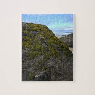 Neptune State Park, OR Jigsaw Puzzle