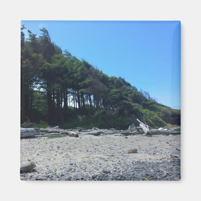 Neptune State Park, OR Magnet (Front)