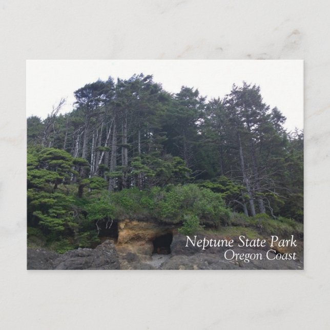 Neptune State Park, OR Postcard (Front)