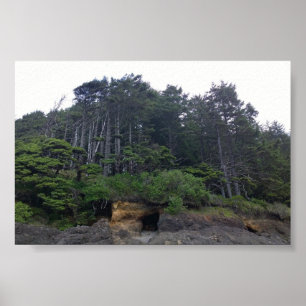 Neptune State Park, OR Poster
