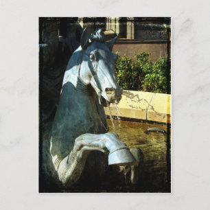 Neptune's Horse, Plaza Fountain Detail 2 Postcard