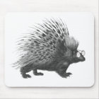 Nerdy Porcupine