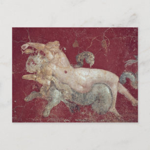 Nereid astride a sea tiger, from Stabiae Postcard