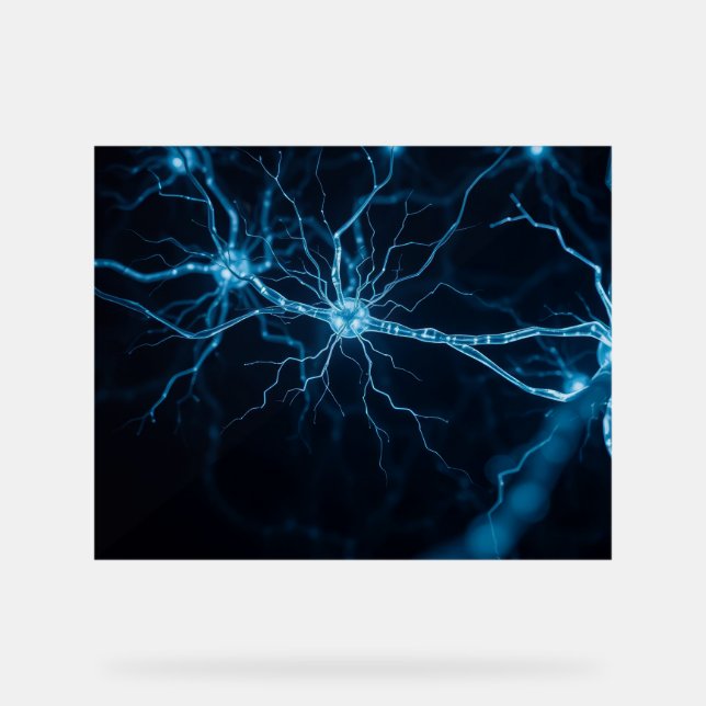 nervous system acrylic sign (Front)