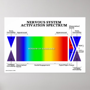Nervous System Activation Spectrum Poster