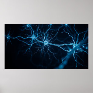 nervous system poster