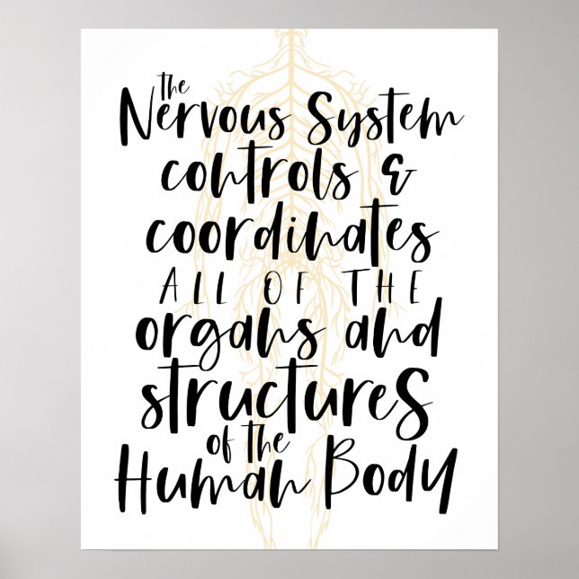 Nervous System Poster, Chiropractic Poster, Chiro  Poster (Front)