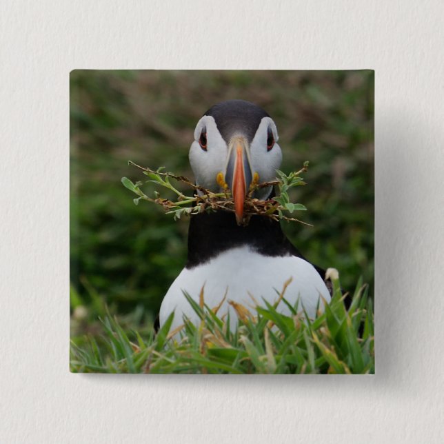 Nest Builder Puffin 15 Cm Square Badge (Front)