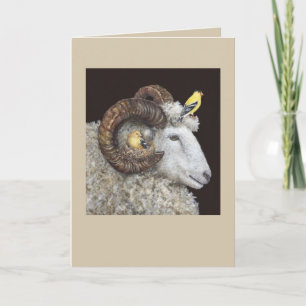 Nest Finders, Keepers card