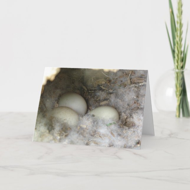 Nest of Duck Eggs Card (Front)