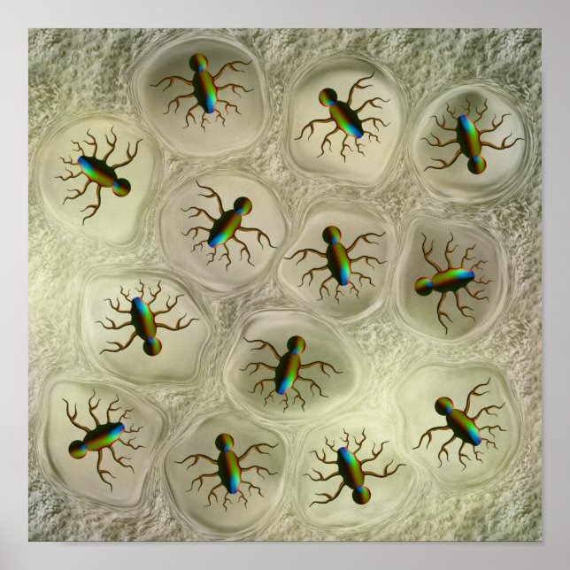 Nest of strange bugs poster (Front)