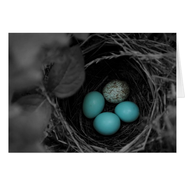 Nest parasitism (Front Horizontal)