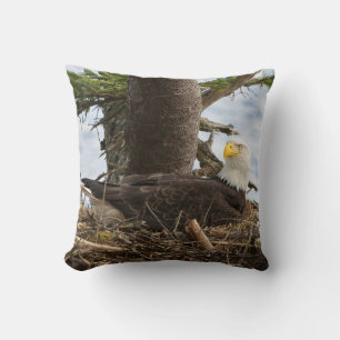Nesting Bald Eagle Cushion