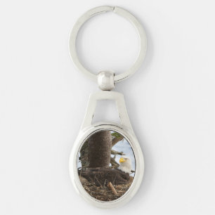 Nesting Bald Eagle Key Ring