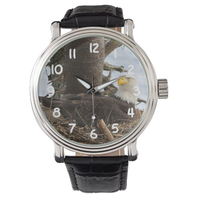 Nesting Bald Eagle Watch (Front)