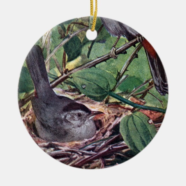 Nesting Grey Catbirds Ceramic Tree Decoration (Front)