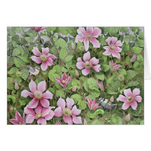 Nesting in Clematis