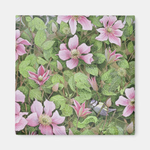 Nesting in Clematis Magnet