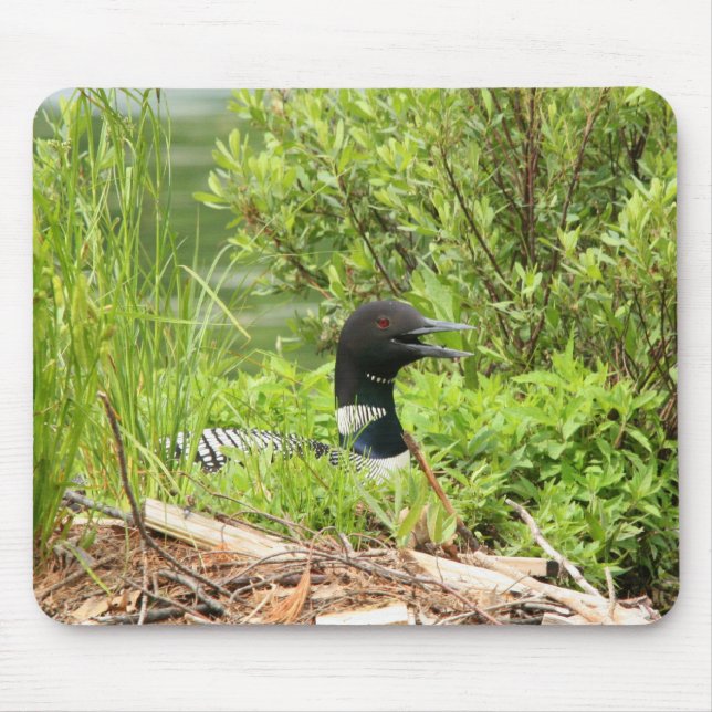 Nesting Loon mouse pad (Front)